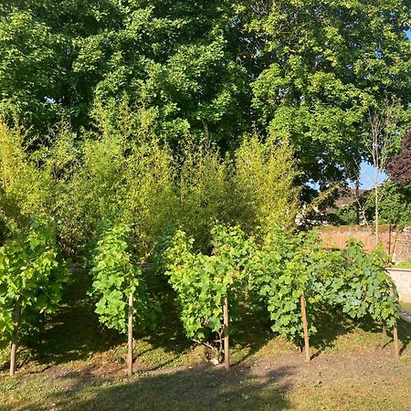 상리스 Pierres Et Jardins B&B 외부 사진