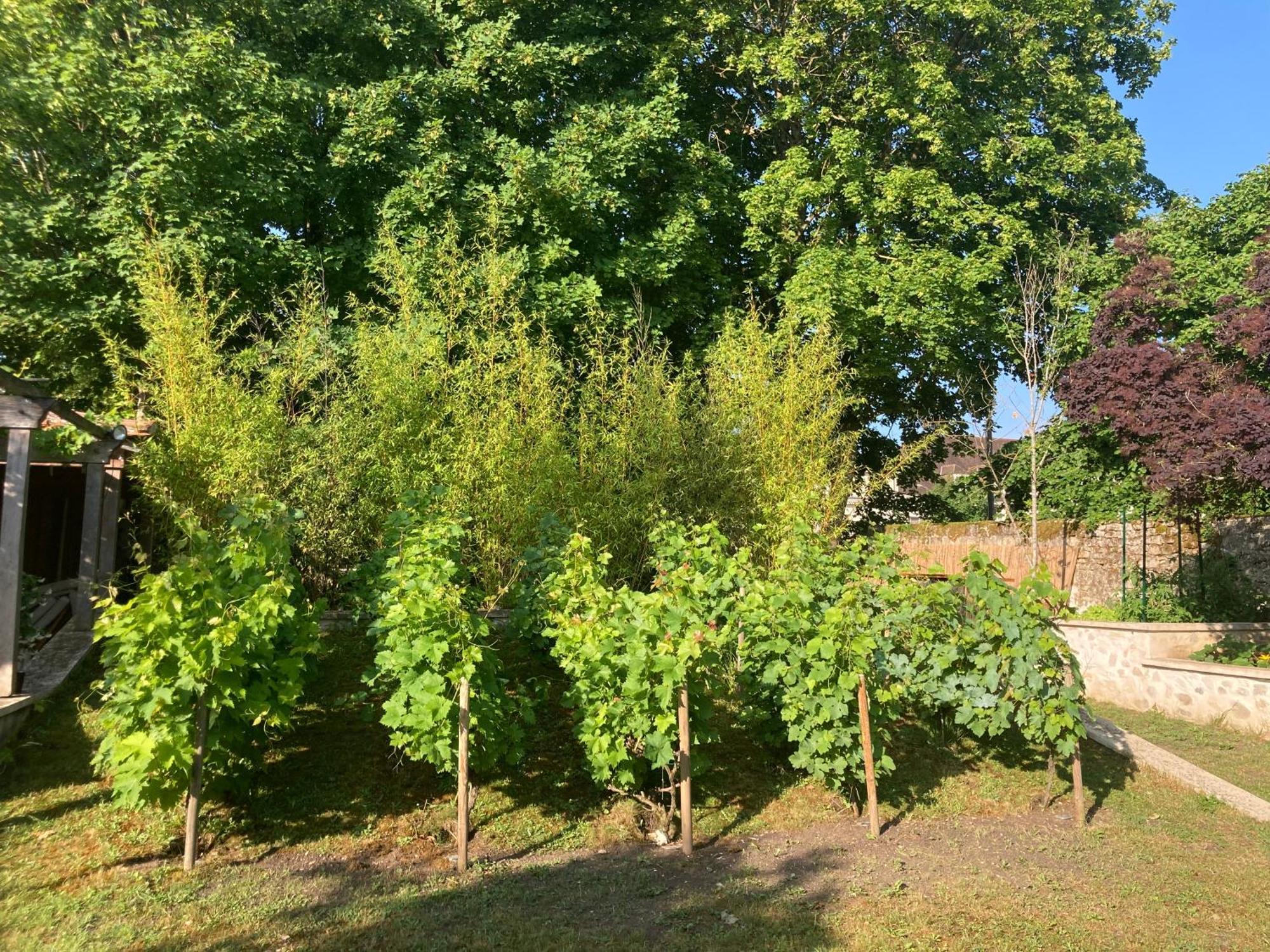 상리스 Pierres Et Jardins B&B 외부 사진